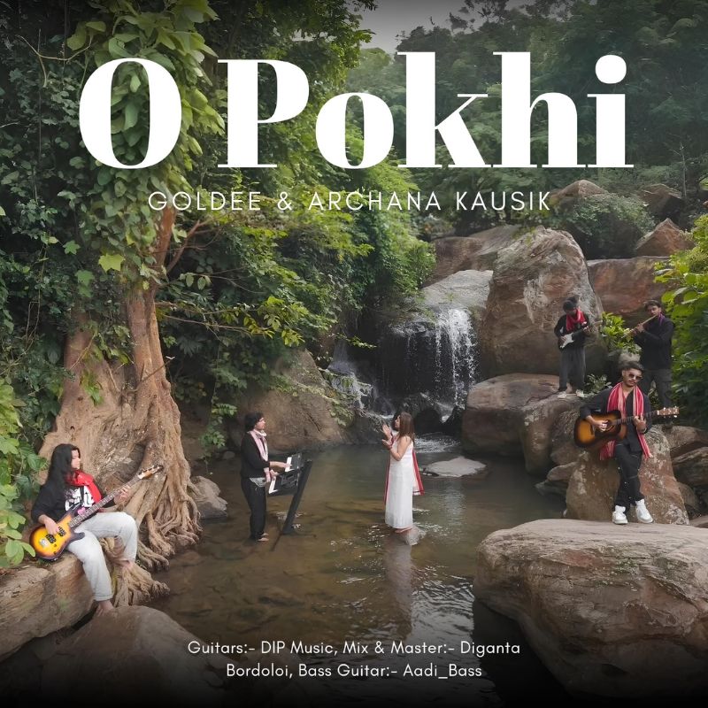 O Pokhi